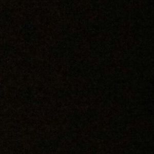 Meet your Posher, Ray